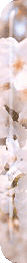 sakura-left.gif